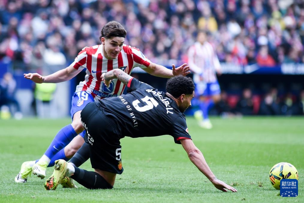 曼尼·马查多赛季表现评估